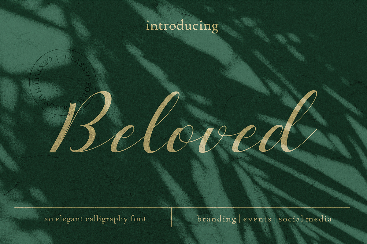 Beloved Romantic Script in Script Fonts - product preview 8