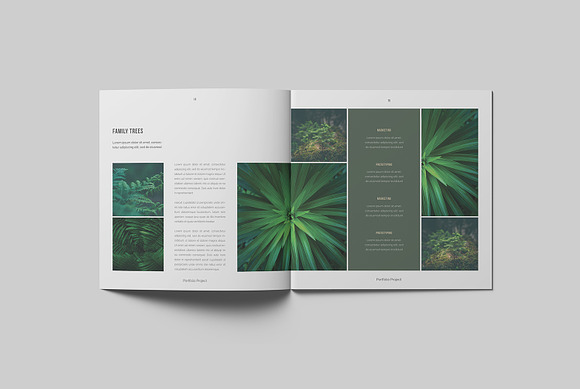 Square Natural portfolio in Magazine Templates - product preview 7