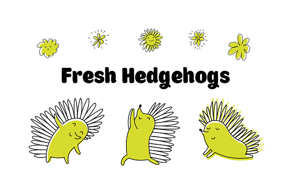 Fresh Hedgehogs