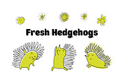 Fresh Hedgehogs