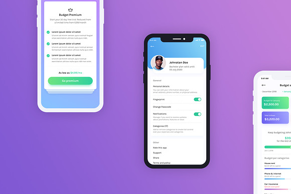 Budget Planner Mobile UI Kit in UI Kits and Libraries - product preview 2