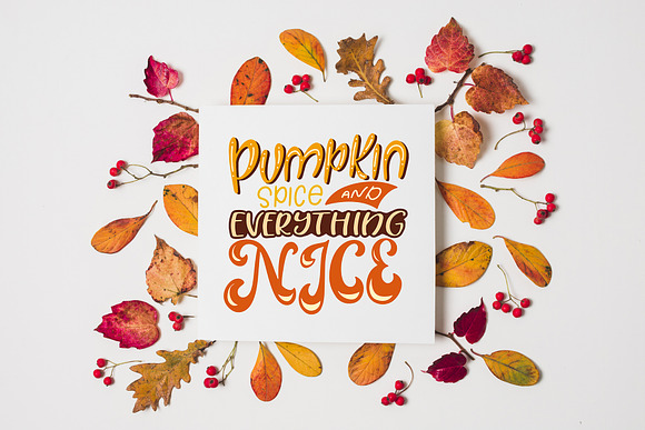 Thanksgiving holiday overlay+clipart in Illustrations - product preview 2