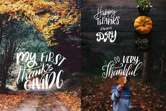 Thanksgiving holiday overlay+clipart in Illustrations - product preview 4