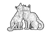 Cat love couple hug sketch vector