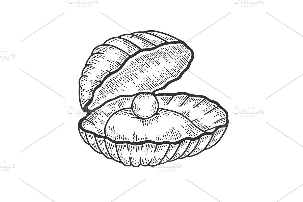 Pearl shell sketch vector in Illustrations - product preview 8