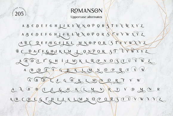 Romanson in Serif Fonts - product preview 13