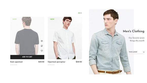 LEO MINIMAL PRESTASHOP THEME in Bootstrap Themes - product preview 4