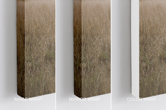 Portrait Canvas Ratio 3:4 Mockup 03 in Print Mockups - product preview 4