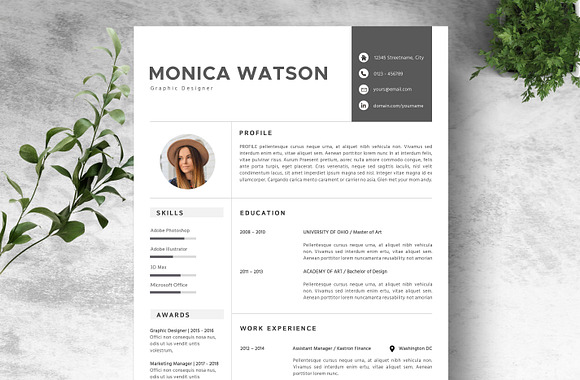 Resume Template 3 Pages in Resume Templates - product preview 6