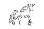 Unicorn mythical animal sketch
