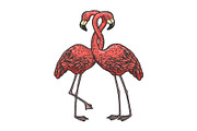 Flamingo love couple hug sketch