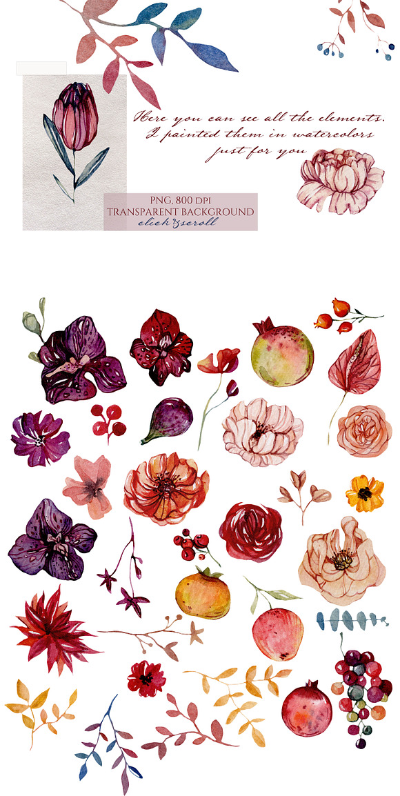 Watercolor graphic.Wine Flower Power in Illustrations - product preview 2