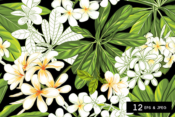 12 Tropical Dreams Seamless Patterns in Patterns - product preview 1