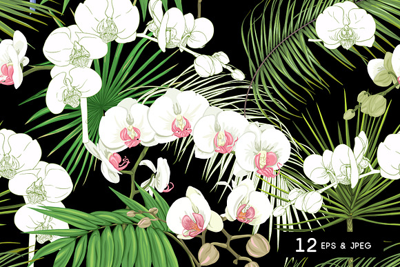 12 Tropical Dreams Seamless Patterns in Patterns - product preview 2