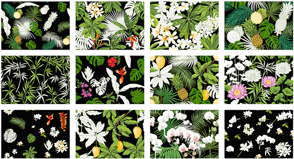 12 Tropical Dreams Seamless Patterns in Patterns - product preview 3