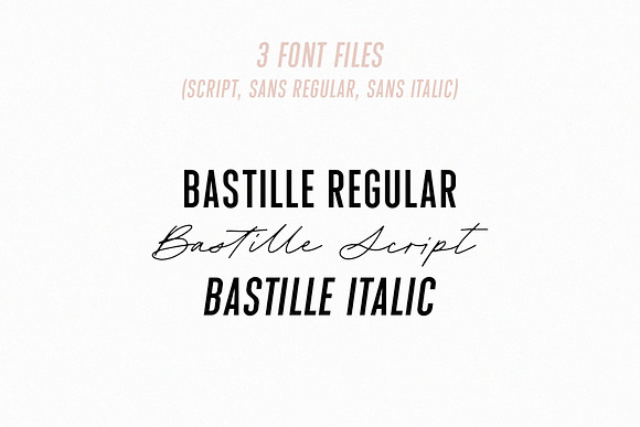 Bastille Modern Font Duo in Sans-Serif Fonts - product preview 9
