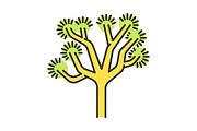 Joshua tree color icon
