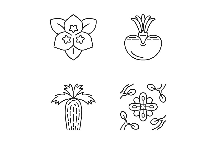 Desert plants linear icons set