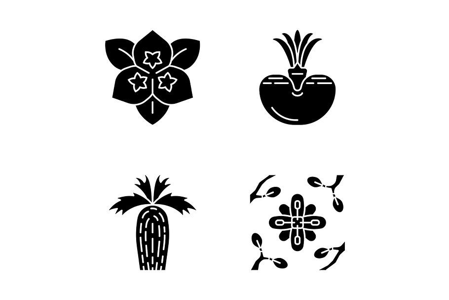 Desert plants glyph icons set in Icons - product preview 8