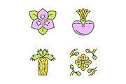 Desert plants color icons set