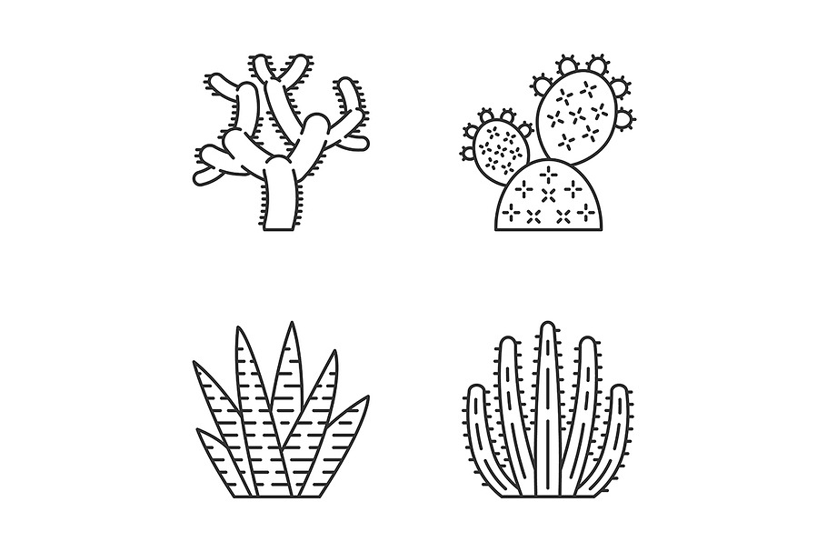 Wild cactus linear icons set in Icons - product preview 8