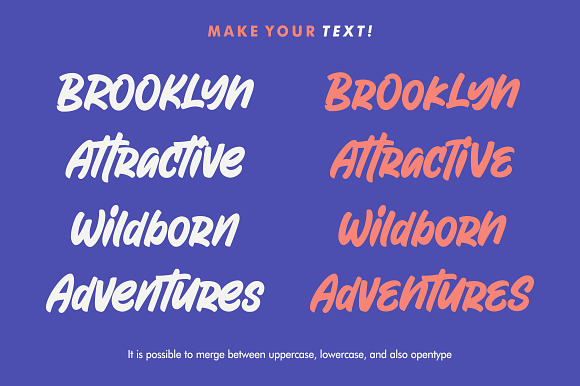 Attractype Reborn - Stylish Font in Display Fonts - product preview 1