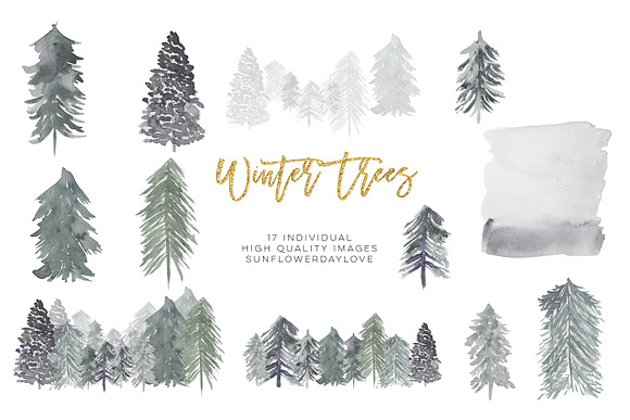 Winter Conifers clipart in Illustrations - product preview 2
