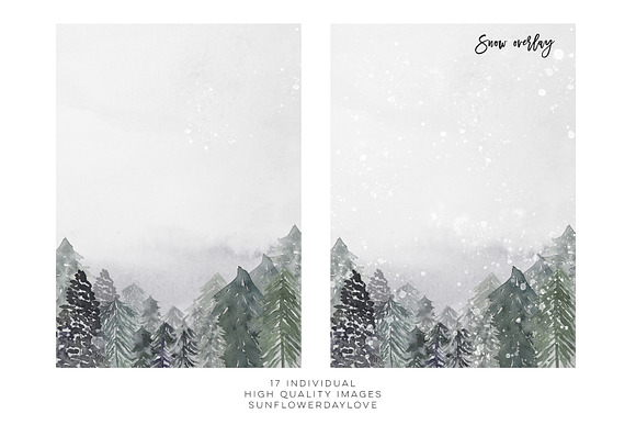 Winter Conifers clipart in Illustrations - product preview 3