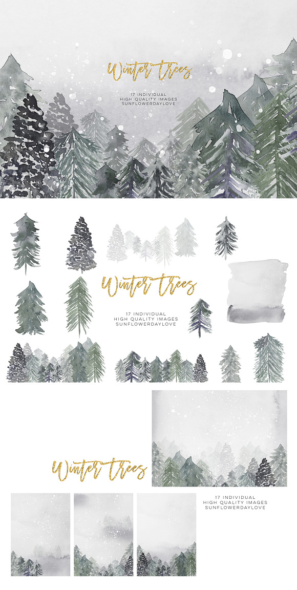 Winter Conifers clipart in Illustrations - product preview 4