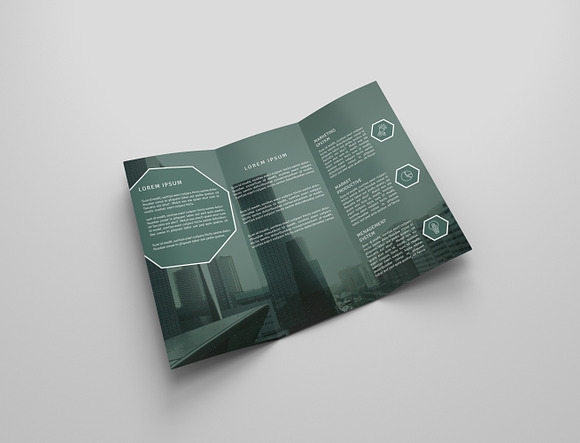6 Corporate Tri Fold Bochures in Brochure Templates - product preview 9