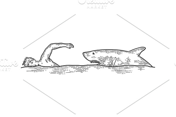 Shark chasing swimmer sketch vector