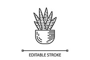 Zebra cactus in pot linear icon