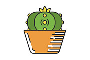 Peyote cactus in pot color icon