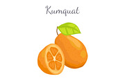 Kumquat Exotic Juicy Fruit Vector
