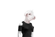 Lamb Head on Woman Mannequin Body Is