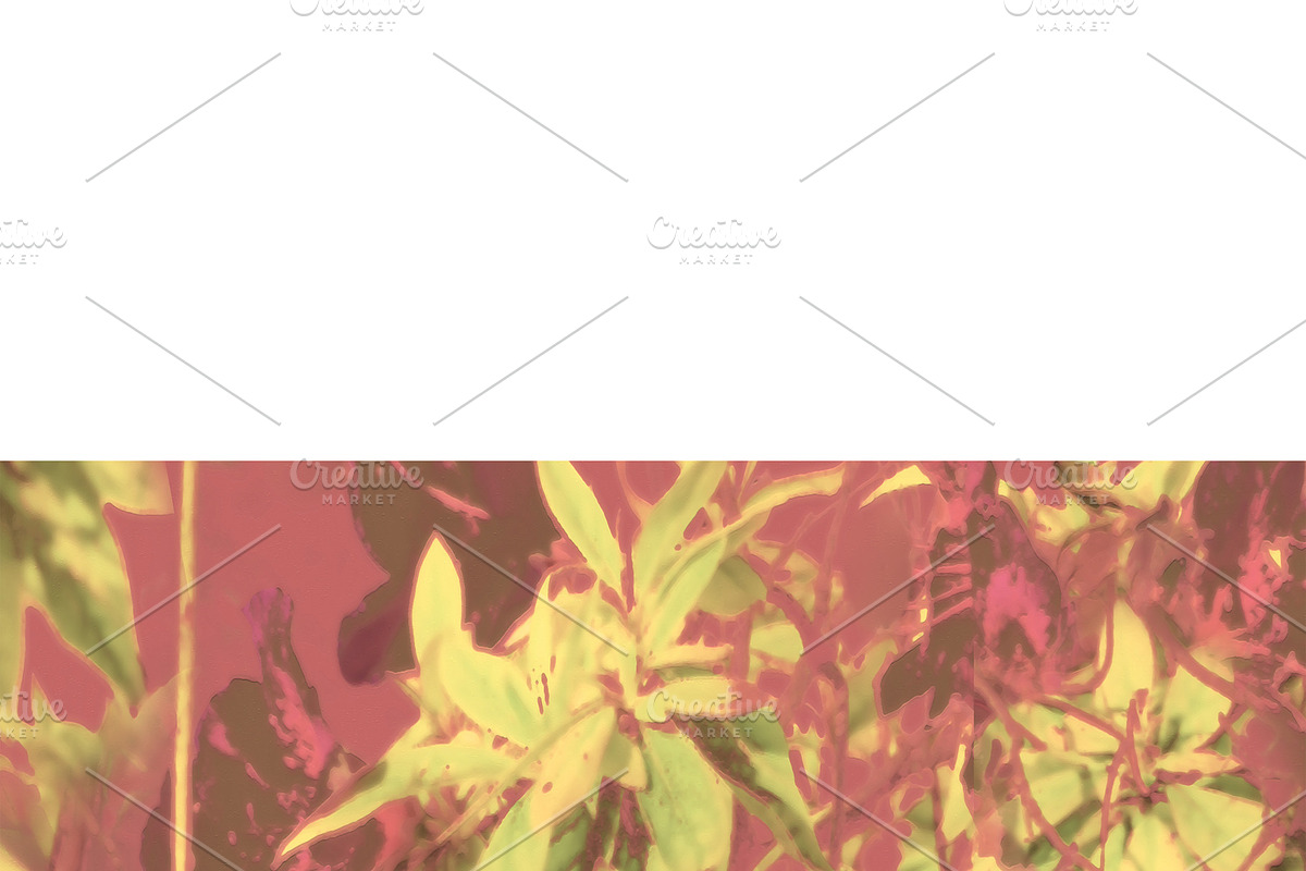 Stationery Background with Decorated in Illustrations - product preview 8