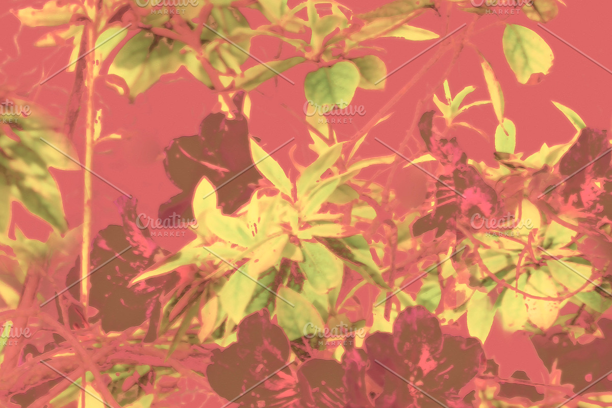 Tropical Vintage Floral Artwork in Illustrations - product preview 8