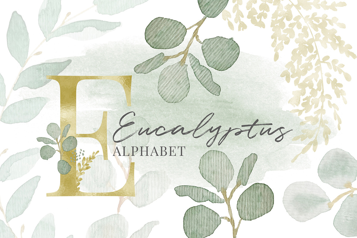 Eucalyptus Alphabet Watercolor in Illustrations - product preview 8