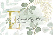 Eucalyptus Alphabet Watercolor