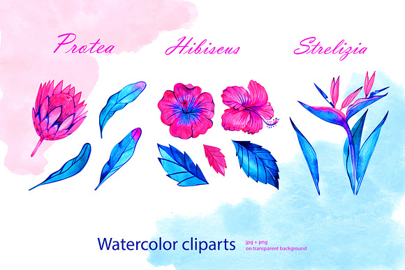 Watercolor neon tropical flowers in Objects - product preview 1