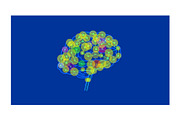 Animation Human Brain Neurons