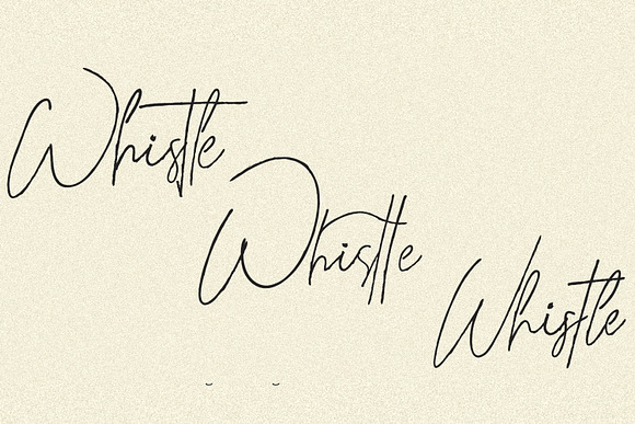 Whitley Signature Typeface in Fonts - product preview 2