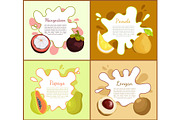 Mangosteen and Pomelo Posters Vector