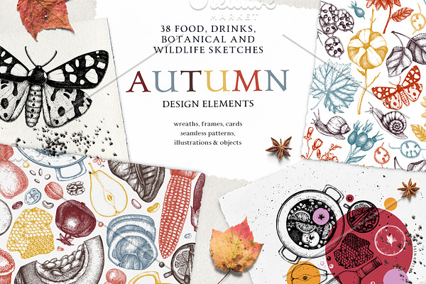 Autumn Design Elements Collection