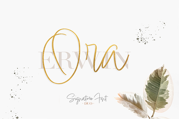 Ora Erwin : Signature Font Duo in Display Fonts - product preview 3
