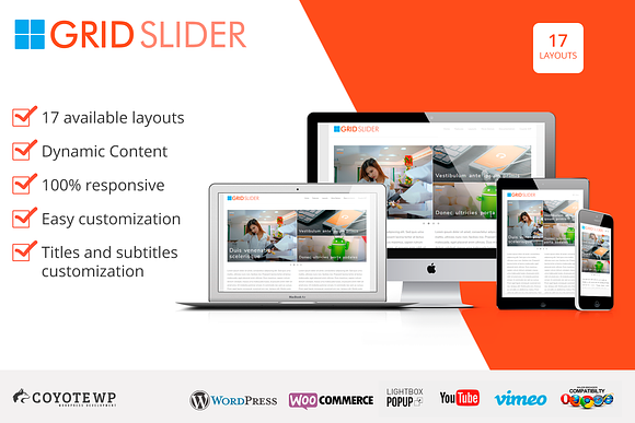 Grid Slider in Wordpress Plugins - product preview 5