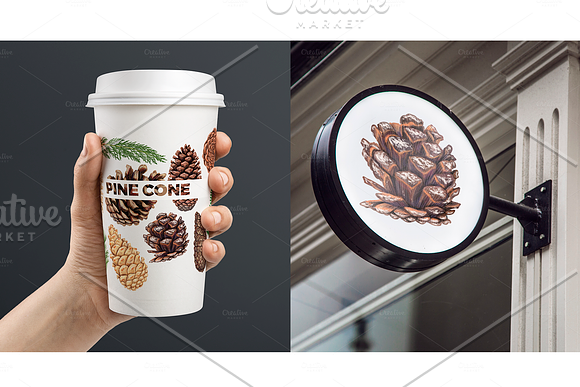 Pine cones and branches in Illustrations - product preview 5