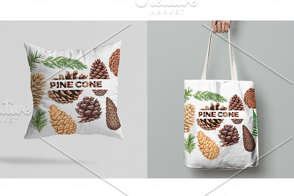 Pine cones and branches in Illustrations - product preview 6