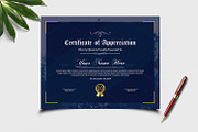 Certificate of Appreciation V20