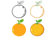 Orange Fresh Fruit. Collection - 1
